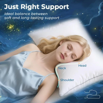 Itopfox Queen Size Pillows Set Of 2, Down Alternative Plump Filling For Side, Back, And Stomach Sleepers - Hotel Quality & Machine Washable 1 Itopfox Queen Size Pillows Set Of 2, Down Alternative Plump Filling For Side, Back, And Stomach Sleepers - Hotel Quality & Machine Washable