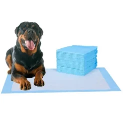 Itopfox 20 Pcs Pee Pads, Blue, 6-Layer, Ultra Absorbent, Leak-Proof, Quick-Dry, Suitable For Dogs, Cats, Rabbits, Chinchillas, And Other Pets -Itopfox Shop GUEST 28205407 c250 4ca9 a7a1 a5fbc3bf0658