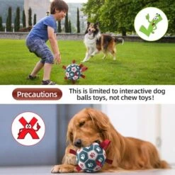 Itopfox Premium Dog Balls Toys, Pet Training Soccer Ball With Straps, Puppy Birthday Gifts, Dog Water Toy, Durable Herding Balls For Small Medium Dog -Itopfox Shop GUEST 2e150a3c c452 4cc1 b68d 59cd1f9cfd98
