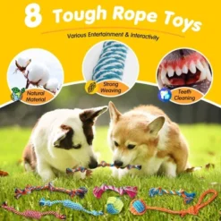 Itopfox 25 Pack Luxury Dog Chew Toys For Puppy, Rope Toys, Treat Ball And Squeaky Toys For Teething Small Dogs -Itopfox Shop GUEST 35dfb805 1881 495e b5b9 b00a6e5c5695