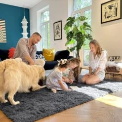 Itopfox Soft Fluffy Shaggy Area Rug For Living Room, Bedroom, Kids, Girls, Boys, Dorms, Nursery Rooms, Home Decor Aesthetic, Machine Washable, Grey -Itopfox Shop GUEST 5ce04d31 4e0c 4bc5 9b99 cdb7796304da