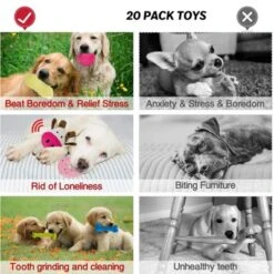 Itopfox 20Pcs Puppy Chew Toys For Teething, Dog Toys With Rope, Toothbrush, Treat Balls, Plush & Squeaky Toys For Small Medium Dogs -Itopfox Shop GUEST 81f4956d 208e 4795 b29c c7778ba862bf