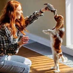 Itopfox Plush Dog Squeaky Toy Stuffed Armadillo Animal Pet Puppy Chew Toys For Small Medium Large All Breed Sizes Dogs, Gray -Itopfox Shop GUEST 8c4618e9 9bd9 468a b511 526d92886ec5