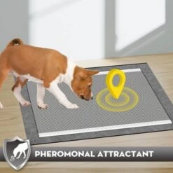 Itopfox Charcoal Pet Pee Pads With Odor-Control & Super Absorbent Up To 10 Cups, 6-Layer Quick Dry & Leak-Proof With Adhesive Tabs, Disposable -Itopfox Shop GUEST 951fc6a2 dca3 4f16 93fc f857f82c46e7