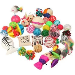 Itopfox Cat Toys Variety Pack For Kitty - 20 Piece Assortment With Wand, Balls, Mice & Feathers For Playful Felines -Itopfox Shop GUEST 9d978458 1a6c 45ca ba84 bf553e261918