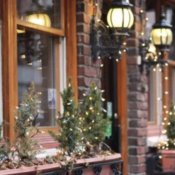 Itopfox Clear Christmas String Lights 100 Count Incandescent Mini Lights For Indoor Xmas Tree Garland Birthday Wedding Party Festival Decoration -Itopfox Shop GUEST a27fefc9 38d6 4aa7 98c8 a6dd85b3a92e