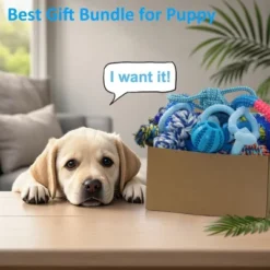 Itopfox 20 Pack Puppy Chew Toys - Blue Dog Teething Toys For Puppies, Teething Rings And Durable Ropes, Rubber Toy Bundle For Small Dogs -Itopfox Shop GUEST a9520fdc 3d17 46aa af31 7b0da9400eaa