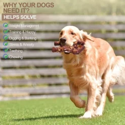 Itopfox Indestructible Dog Chew Toy For Aggressive Chewers, Extreme Tough Bone For Large Dogs, Real Beef Flavored, Long Lasting Chew Toy For Medium -Itopfox Shop GUEST b50cab36 a73f 4231 99a0 d4a518542d8d