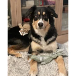 Itopfox No Stuffing Squeaky Crinkle Plush Dog Toys For Aggressive Chewers, Puppy Teething Toys For Small, Medium, Large Breed, Cute Bunny & Redfox 11 Itopfox No Stuffing Squeaky Crinkle Plush Dog Toys For Aggressive Chewers, Puppy Teething Toys For Small, Medium, Large Breed, Cute Bunny & Redfox -Itopfox Shop GUEST ccf6252a 7931 4b81 9202 edc2e7bda28b