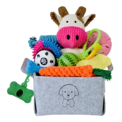 Itopfox 20Pcs Puppy Chew Toys For Teething, Dog Toys With Rope, Toothbrush, Treat Balls, Plush & Squeaky Toys For Small Medium Dogs -Itopfox Shop GUEST e66abd5a a77b 4b86 9214 545d0c0fb202